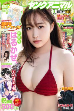 斛珠夫人在线观看全集